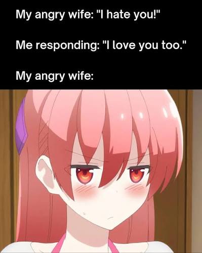 Animemakeblog - Meme #95 Anime: TONIKAWA: Over The Moon For You Character: Tsukasa Yuzaki My angry wife: "I hate you!" Me responding: "I love you too." My angry wife: #tonikakukawaii #flymetothemoon #tonikawa #