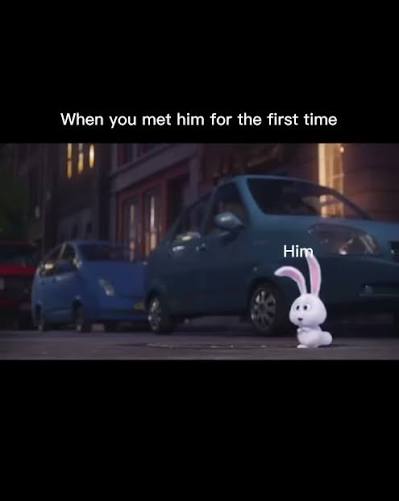 Meeting Him for The First Time Meme | TikTok