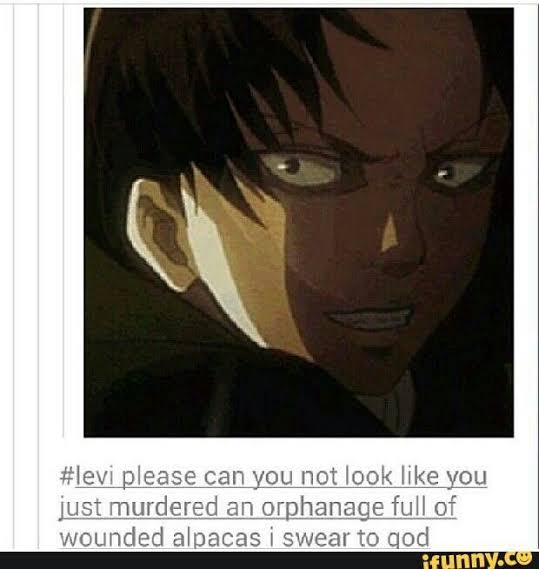 Attack On Titan Memes / AOT Memes - 145. Levi's Face - Wattpad
