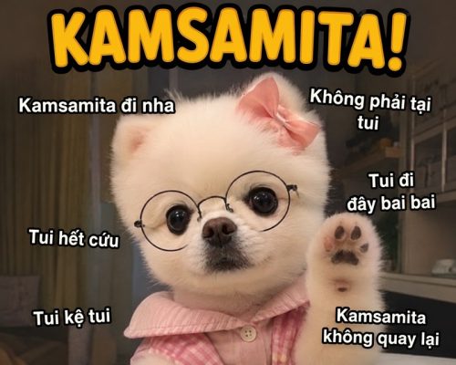 Kamsamita meme – Bộ ảnh chế cảm ơn tiếng Hàn siêu hài