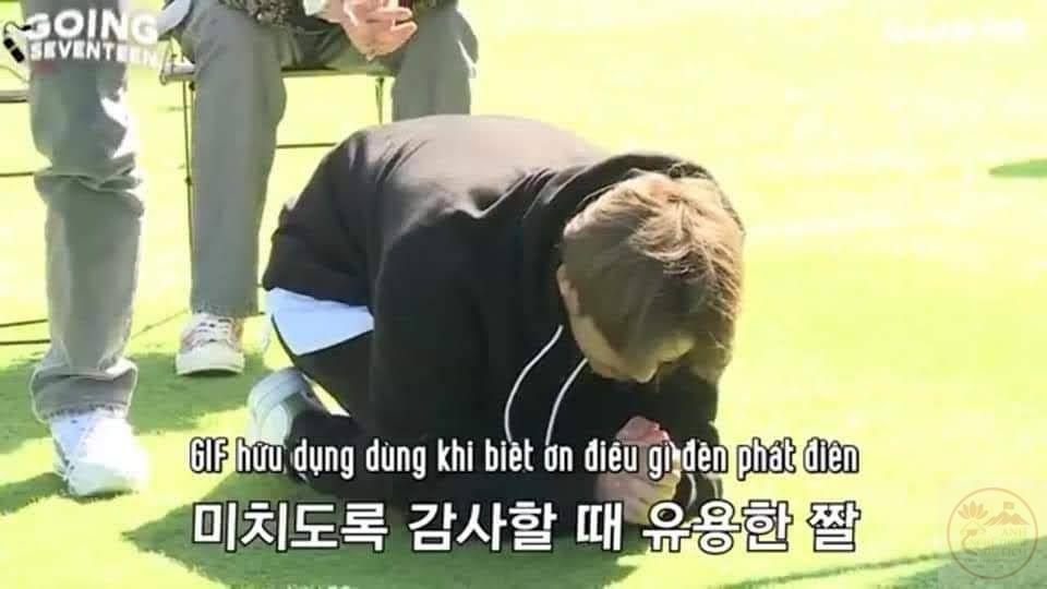 Kamsamita meme được chia sẻ nhờ khả năng tạo tiếng cười tự nhiên và dễ chịu