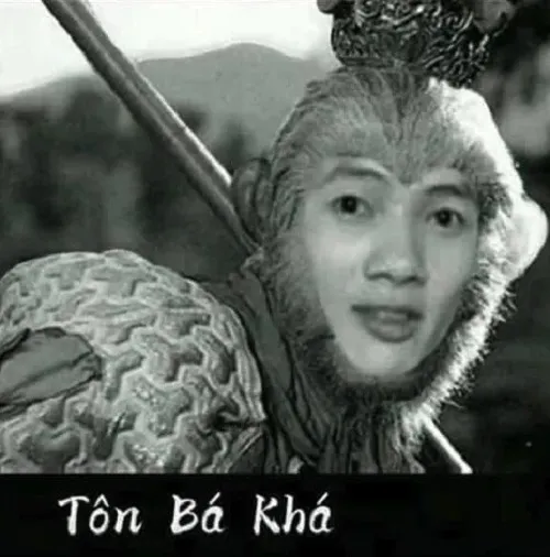 Meme hài phản ánh dư âm xã hội mạng Việt