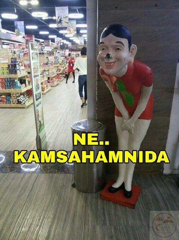 100+ Kamsamita meme và những hình ảnh chế gây cười cực thú vị
