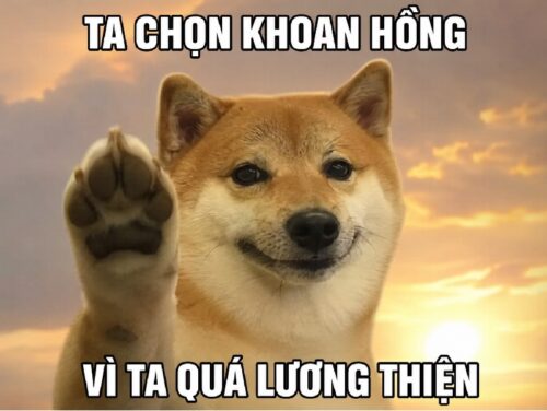 Khoan hồng meme – Ảnh chế xứng đáng hưởng khoan hồng