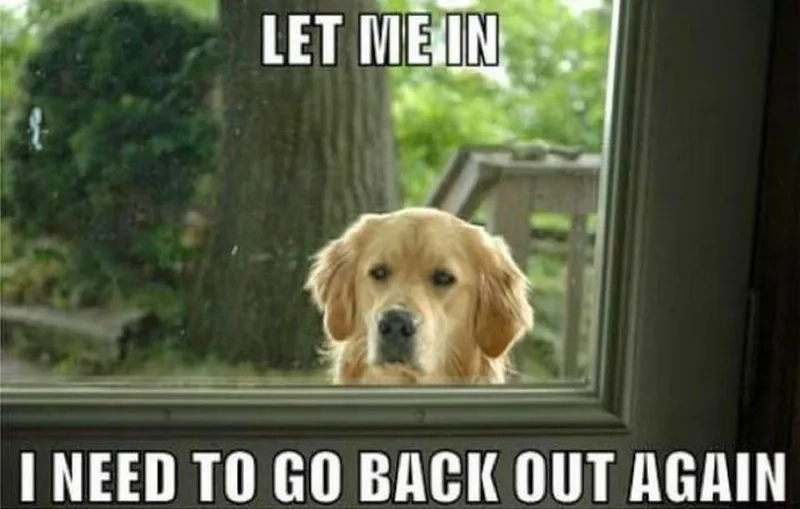 Let me in meme kết thúc bằng nỗ lực vào cuộc vui bất thành.