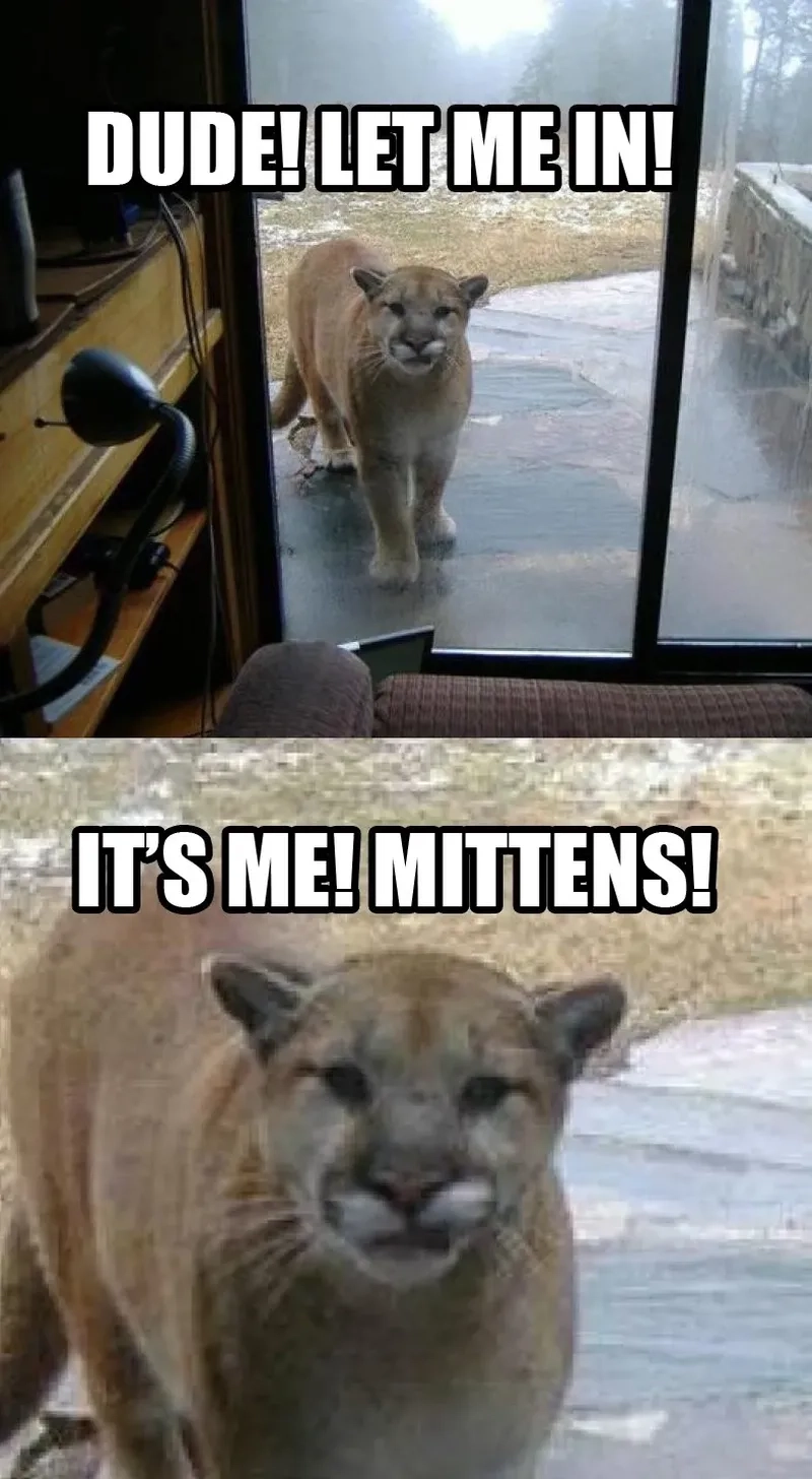 Let me in meme guy chuẩn tâm trạng người luôn sợ lỡ kèo.