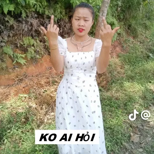 Tại sao meme “ai hỏi” lại hot khắp TikTok
