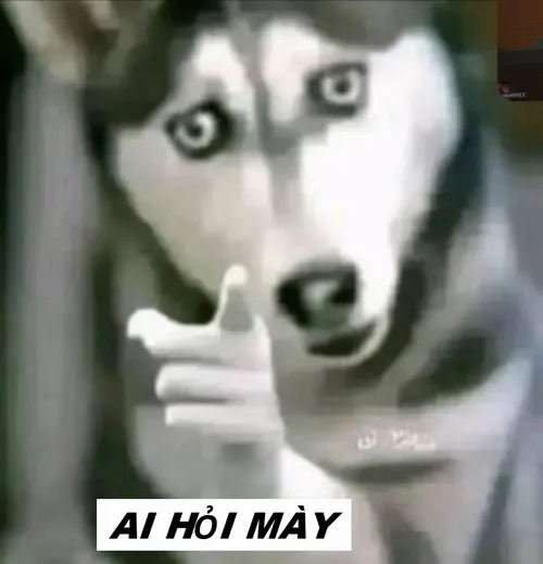 Khi “ai hỏi” trở thành phản xạ dân mạng
