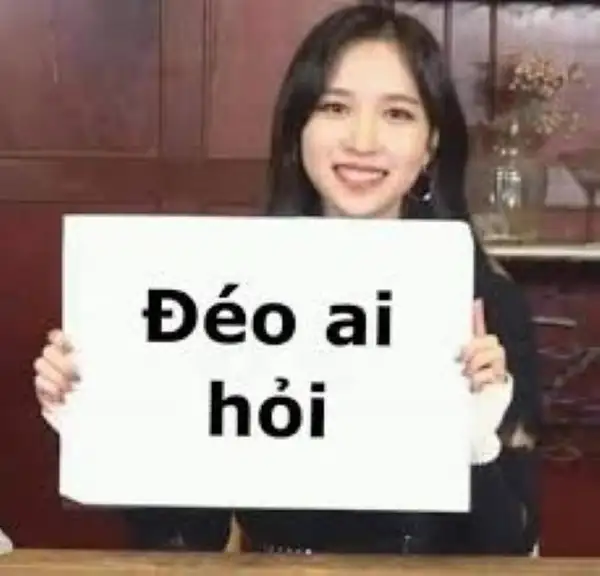 Từ bình luận vui đến meme gắt “ai mượn?”