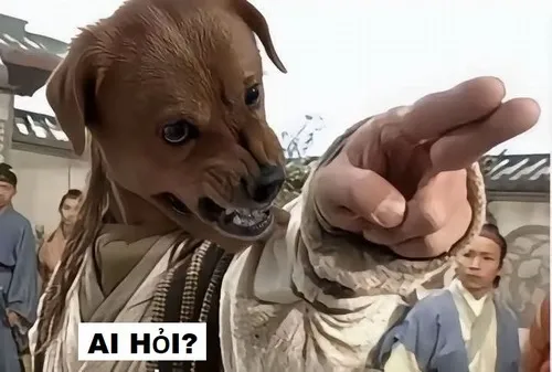 Bộ sưu tập meme ai hỏi: Khi nói nhiều lại thành điểm nhấn hài hước