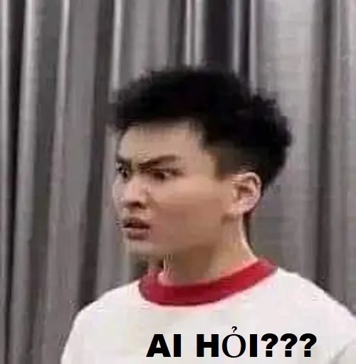 Meme ai hỏi là gì? Khi im lặng đôi khi thông minh hơn phản ứng