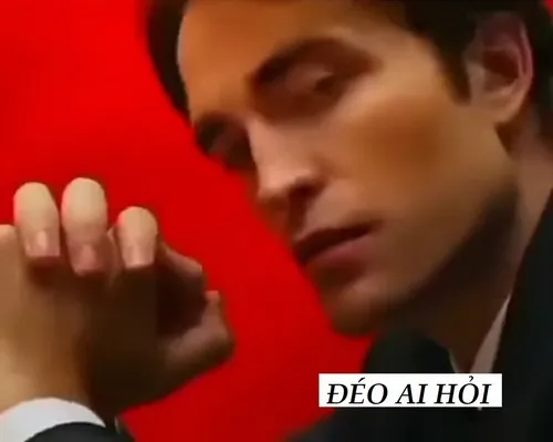 Loạt meme ai hỏi khiến mạng xã hội “nổ tung” vì độ vô tri đỉnh cao