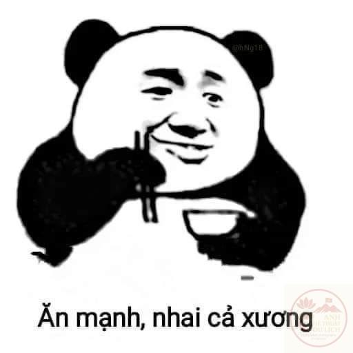 Gấu trúc Weibo cầm bát cơm với đôi đũa "ăn mạnh, nhai cả xương" – TVMeme