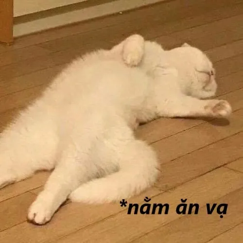 Story » Bộ 20+ Meme Ăn Vạ cực hài, chân thực đến mức ai cũng thấy “giống mình”