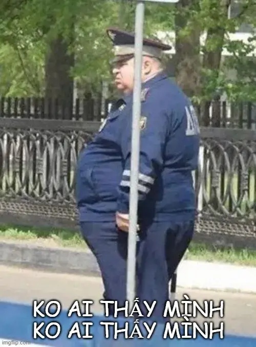 meme biến mất