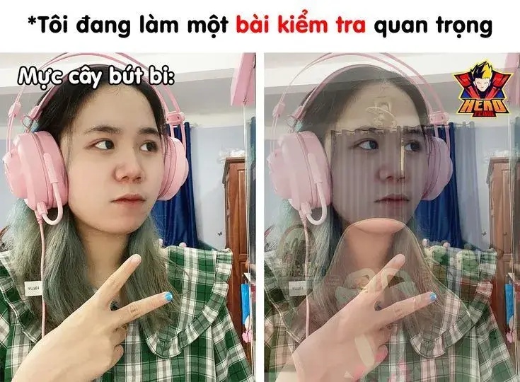 meme biến mất