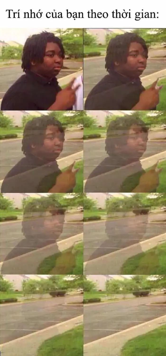 meme biến mất