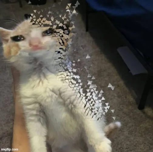 meme biến mất