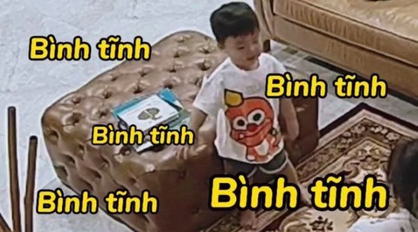 meme bình tĩnh (8)