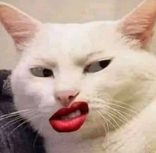 Meme bĩu môi chê bai nhưng cực dễ thương