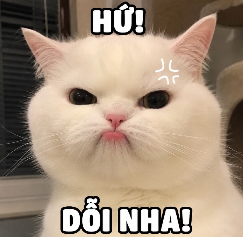 Meme bĩu môi – Bộ ảnh chế khinh bỉ chê siêu hài hước