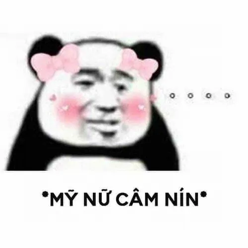 Ảnh vui hết cách cứu, đúng kiểu bất lực