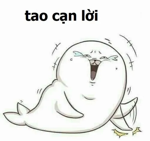 Ảnh hài bó tay, không còn gì để nói
