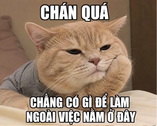 Meme chán – Bộ ảnh chế chán đời chả buồn nói siêu thấm