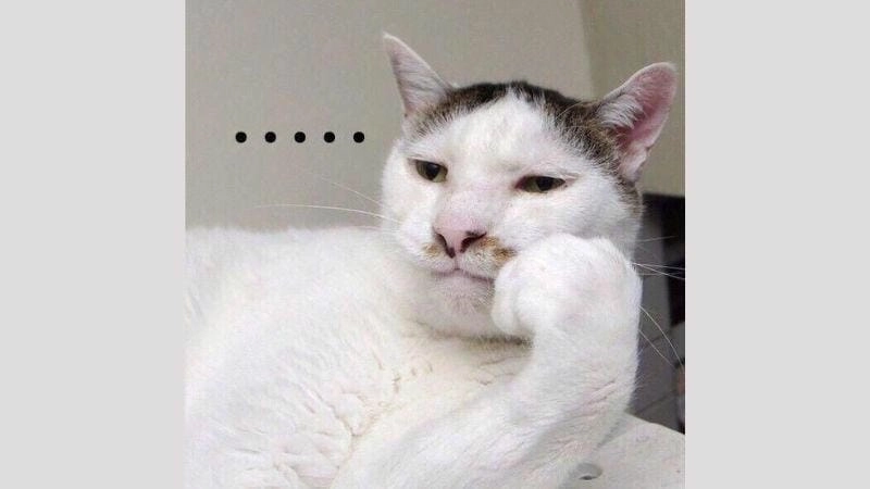 Tổng hợp meme chán siêu hài giúp bạn bật cười mỗi ngày
