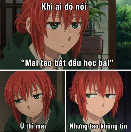 Ảnh troll meme Chise Hatori chế nhiều ảnh độc lạ cười xỉu