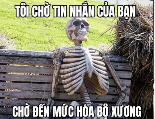 Meme chờ đợi – Ảnh chế lót dép hóng siêu hài hước