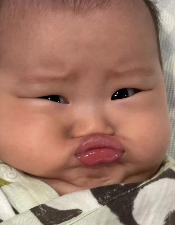 meme chu mỏ 17