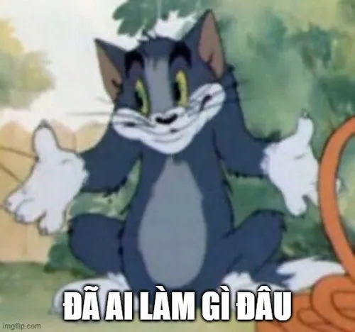 Mèo Tom đưa tay vì có làm gì đâu