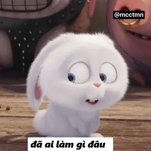 Hình troll kiểu “ơ tui có làm gì”.