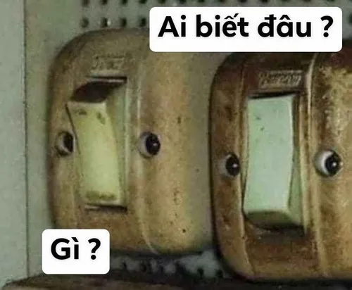 Tổng hợp meme đã làm gì đâu: Khi biểu cảm nói thay ngàn lời biện hộ