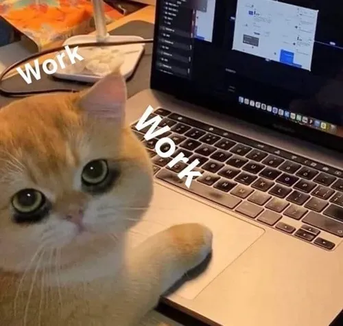 Meme hài khuôn mặt vừa làm vừa chửi
