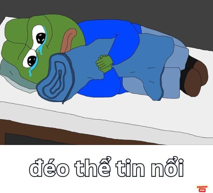 meme đéo tin ếch