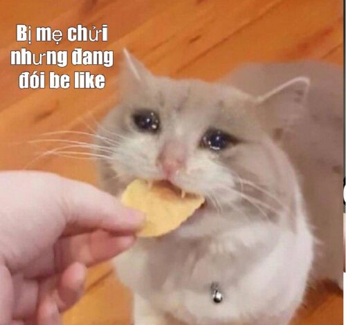 Meme đói – Ảnh chế đói bụng há mồm siêu hài bựa nhất