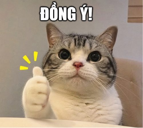 Meme đồng ý – Bộ ảnh chế gật đầu 2 tay 2 chân siêu hài