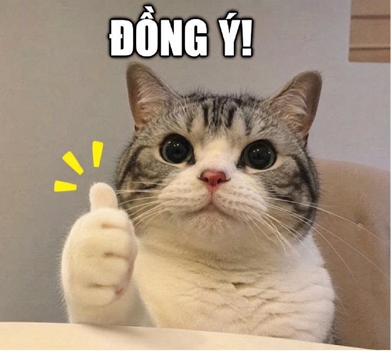 Meme đồng ý – Bộ ảnh chế gật đầu 2 tay 2 chân siêu hài