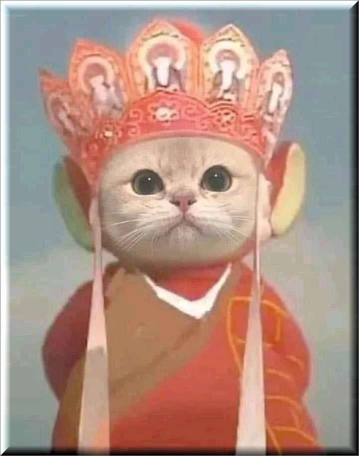 meme-duong-tang (11)