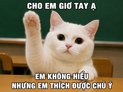 Meme giơ tay – Ảnh chế em bé phát biểu siêu hài hước