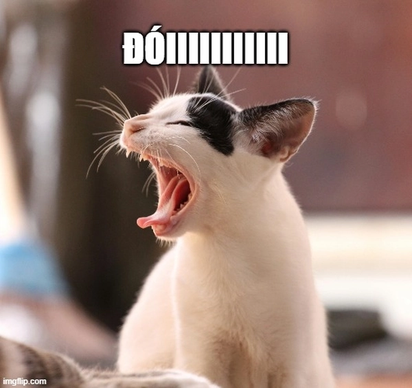 Meme Há Mồm 😮 Ảnh Chế Há Miệng Sốc Hài Viral