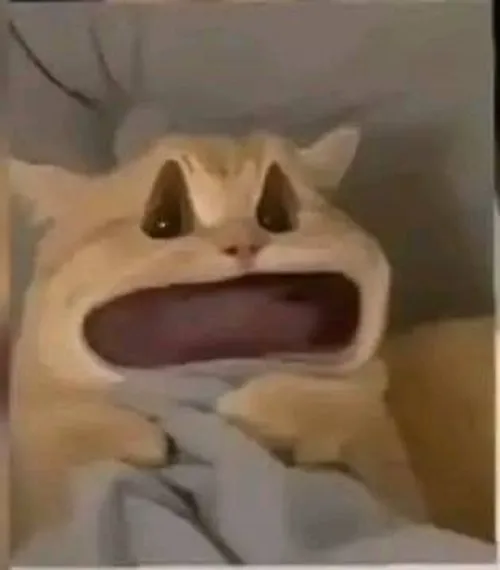 Meme há miệng kiểu “ơ kìa, gì vậy trời”
