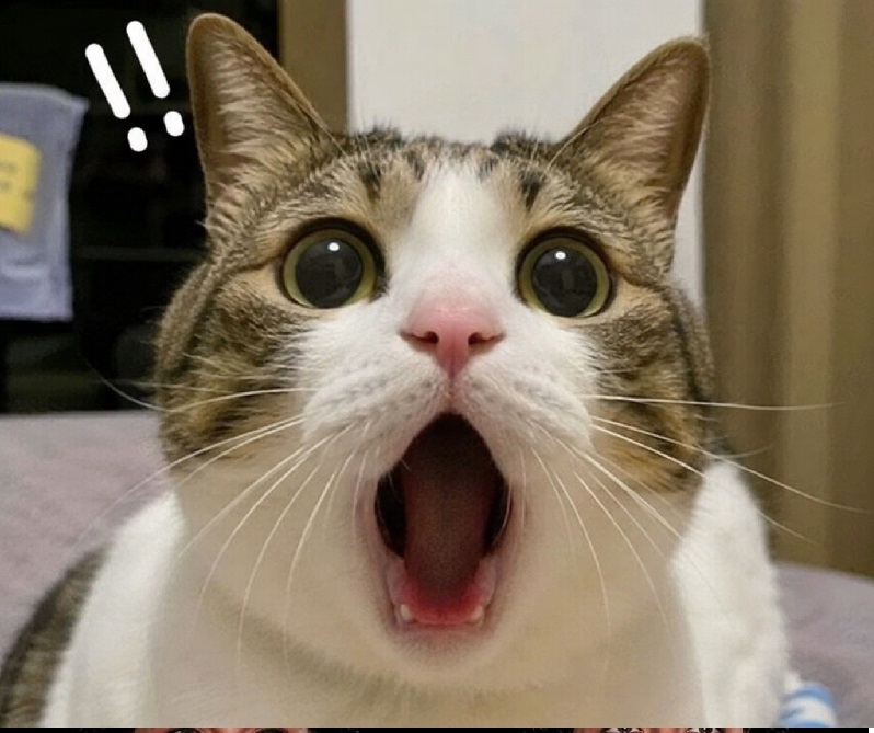 Meme há mồm – Ảnh chế há miệng ngơ ngác siêu hài
