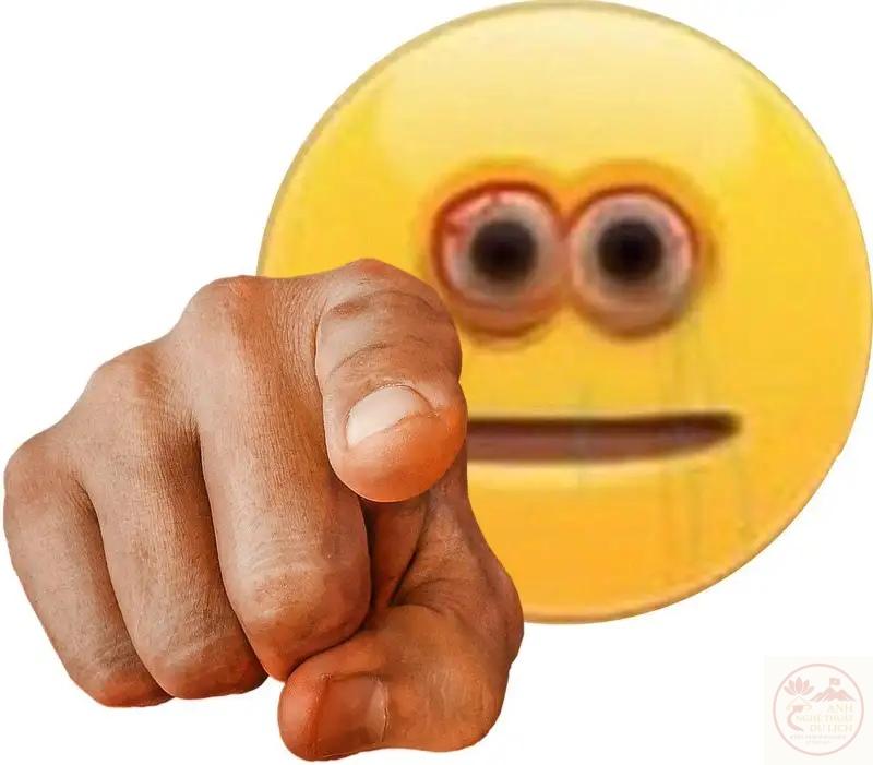 Meme hài cute