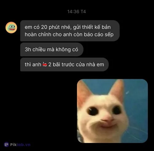 66
