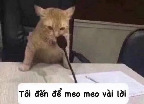 141