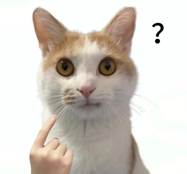 meme hỏi chấm (1)