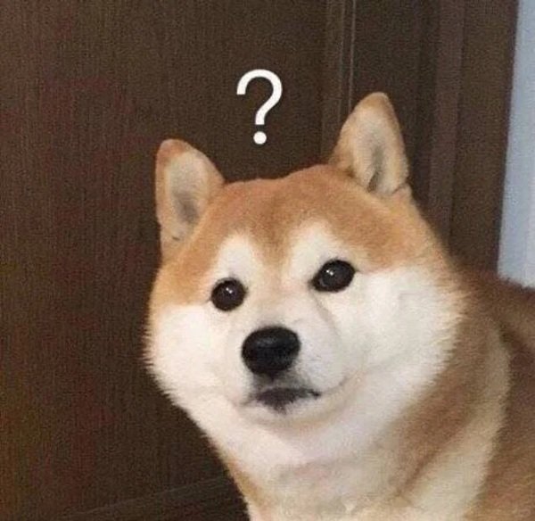 meme hỏi chấm (15)
